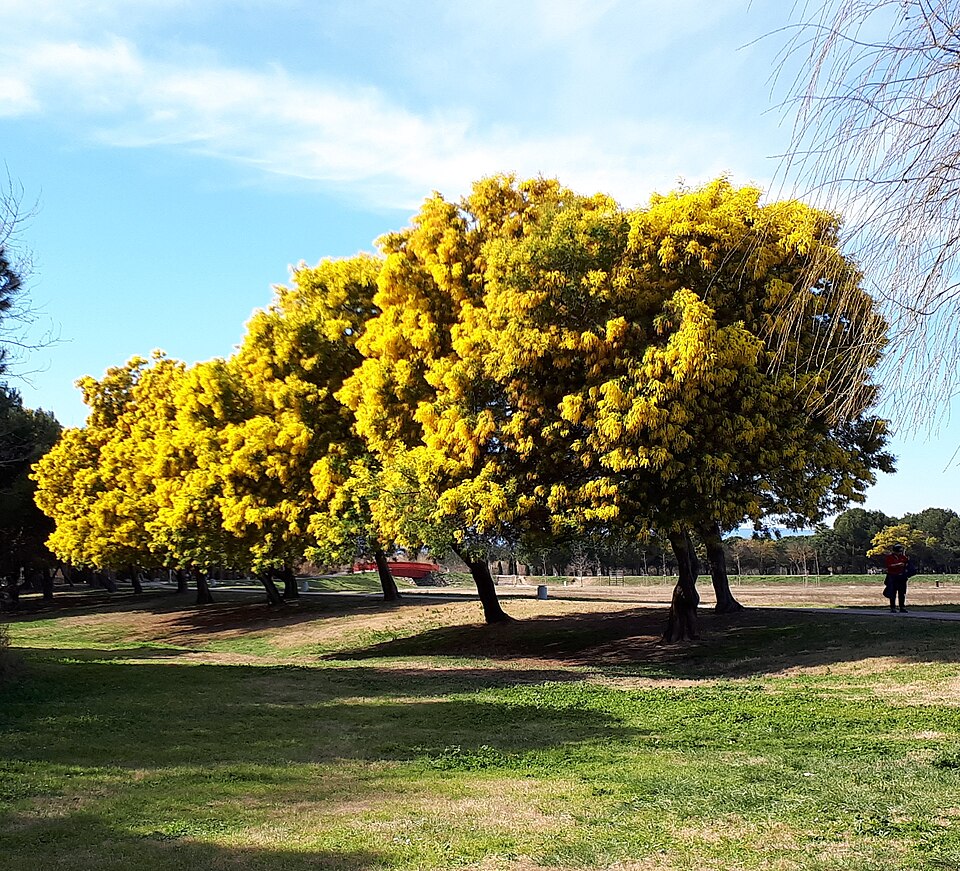 Photo 879733