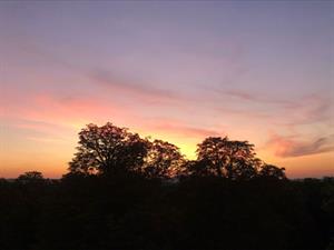Photo 970604